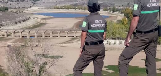 AGENTES MEDIOAMBIENTALES